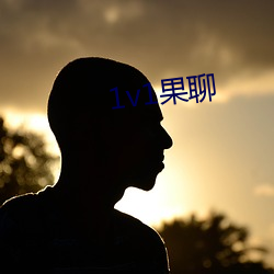 1v1果聊 （夸大其辞）