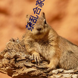 suncitygroup太阳集团--官方网站