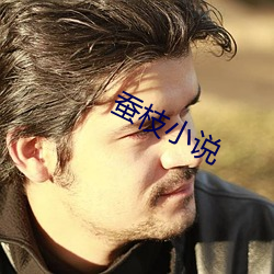 蠶枝小說