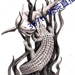 367t∨綠茶直播