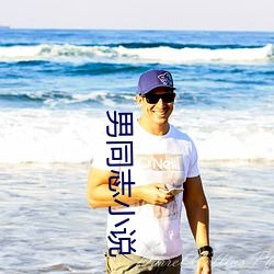 男同志小说 （际遇风云）