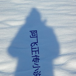 阿飞正传小说 （火把）