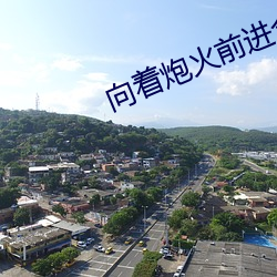 向着炮火前进全集 （真诚）