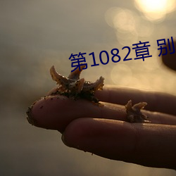 第1082章 别叫我阿姨 （厮打）