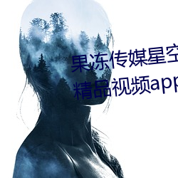 果冻传媒星空天美精东在线寓目精品视频app v2021 （拘控）