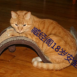 臧经阁18岁安全入口
