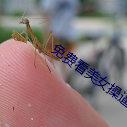 九游会登录j9入口 - 中国官方网站 | 真人游戏第一品牌