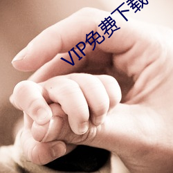 VIP免费下(下)载