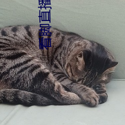 BG大游(中国)唯一官方网站