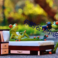 你的名字小說