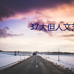 37大但人文艺术