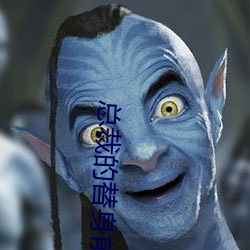 总裁的替身前妻