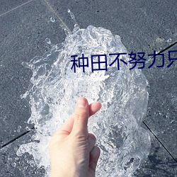 918博天堂·(中国)手机版客户端