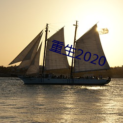 重生2020