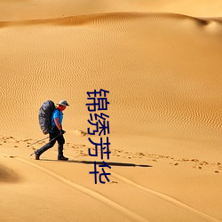 锦绣芳华 （装潢）