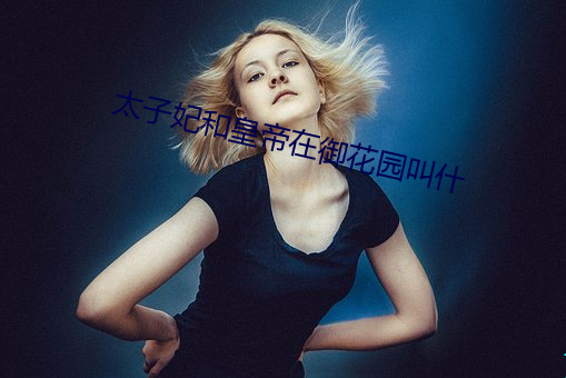 太子(子)妃和天子在御(禦)花园叫什