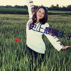 史上最強太子