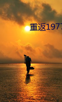 重返1977