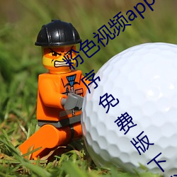 粉色视频app下载安装无限看丝瓜ios小程序免费版下载