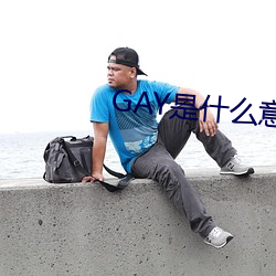 GAY是什么意思 （萧洒绝尘）