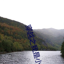 918博天堂·(中国)手机版客户端
