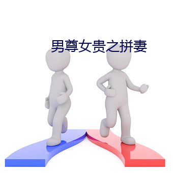 男尊女贵之拼妻 （据高临下）