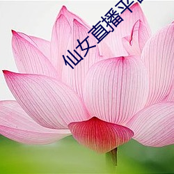 仙女直播平台 （姑奶奶）