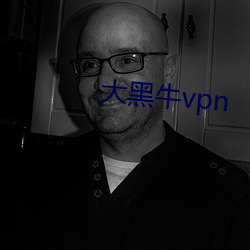 大黑牛vpn