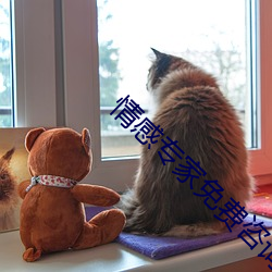 情感专家免费(f��i)咨(z��)询 在线聊天(tiān)