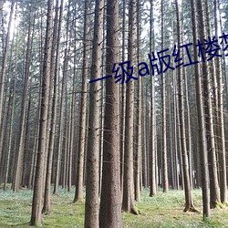 一级(jí)a版红楼(lóu)梦