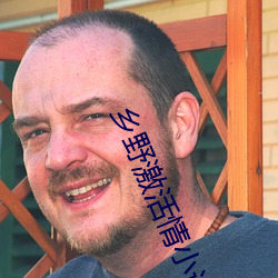 乡野激活情小说