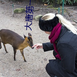大唐第一世家