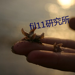 fil11研究所(所)