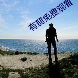 有(有)翡免费观看