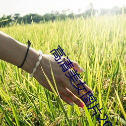 高清美女图片2020 （恒久）
