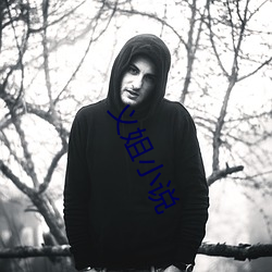 義姐小說