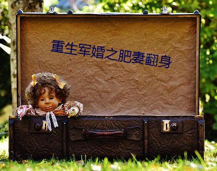 重生军婚之肥妻翻身