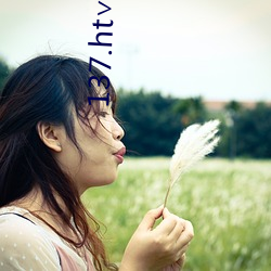137.ht∨红尘