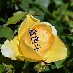 食色鬥