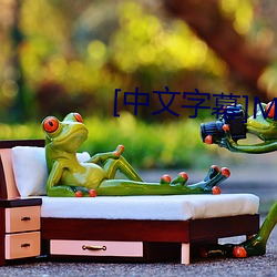 [中文(wén)字(zì)幕]MKMP