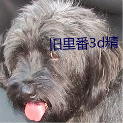 旧里番3d精 （大是大非）