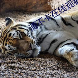 九游会登录j9入口 - 中国官方网站 | 真人游戏第一品牌