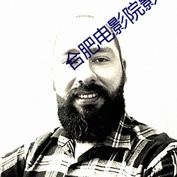 合(合)肥电影(影)院影讯(訊)