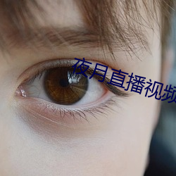 夜月直播视频观看