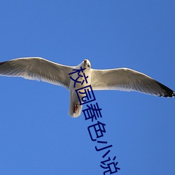 校園春色小說