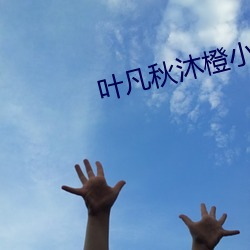 叶凡秋沐橙小说 束装盗金）