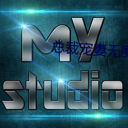 總裁寵妻無度