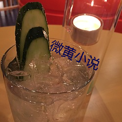 微黃小說