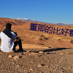 董卿的比好看