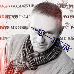 一级一(y)1二级